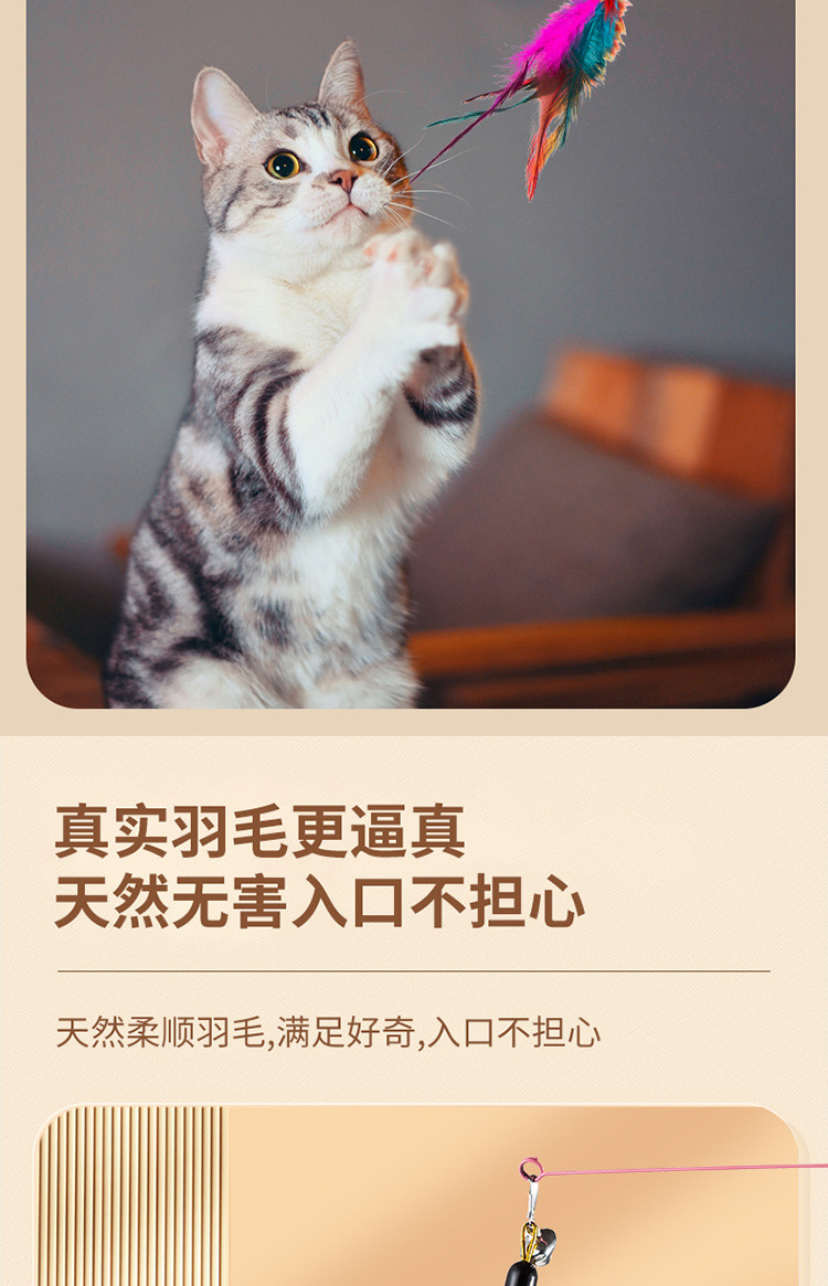 羽毛激光逗猫爆款750_07