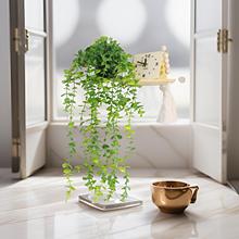 �羳�����ٗl����~�����_�㶹�Ғ����ԼҾӱڒ����Gֲ�b����l