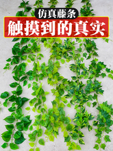 �G�}�~���~�b����ϱڒ�ٻ��ٗl�����G�~�p�@���{ˮ�ܵ��ړ�