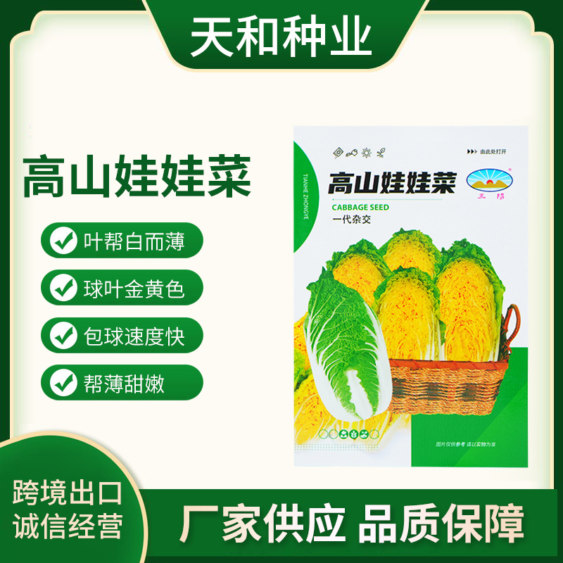 High-mountain baby cabbage, thin, sweet, and tender, four-season golden baby cabbage seeds, vegetable seeds, yellow-heart baby cabbage seeds