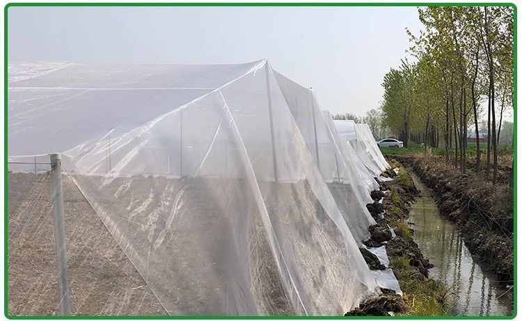 a14081b3-2e46-49bf-a13c-0c17b5c76e65.jpe