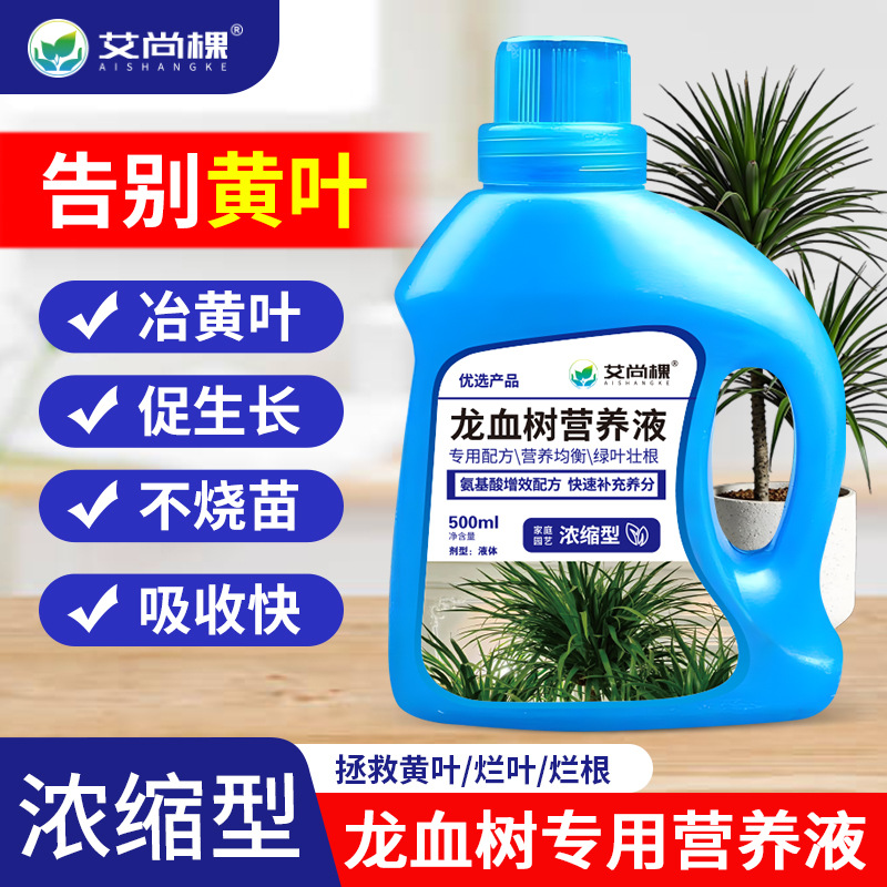 Solution nutritive pour plantes Dragon Blood Tree, engrais spécial pour plantes à fleurs, solution nutritive pour plantes vertes en pot de grande taille pour salon