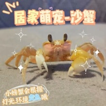 ɳз�ɐی����ɐ۴�����Ȥζ�з�۵Č���Сˮ�匙�����A���ȴ�