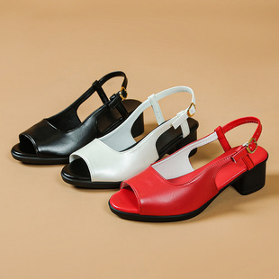 Foreign Trade Cross-border Simple Thick-heeled Sandals 2025 Summer Fish-mouth Fashion Slimming All-match One-word Buckle Sandals for Women