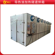 定制导热油加热隧道设备烘房隧道烘箱烘干机干燥设备批发