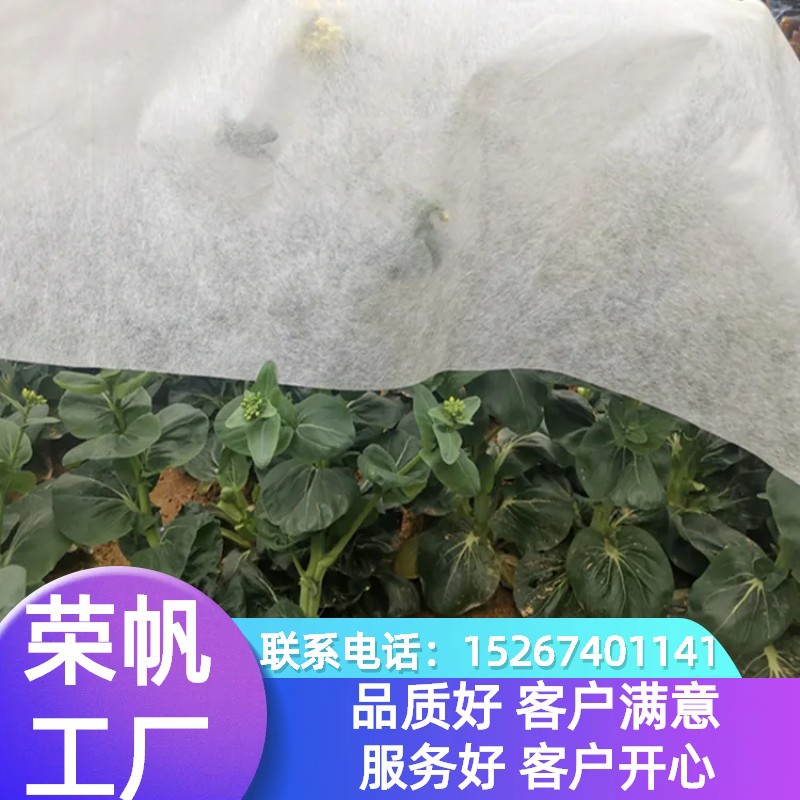 水稻育秧育苗无纺布蔬菜园林绿化除草果园树苗育苗袋农用无纺布pp