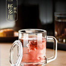 玻璃杯茶杯带把手家用耐高温钢化防摔啤酒杯子个人男泡茶水杯