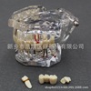 Dental teaching model doctor-patient communication model comprehensive case model removable dental model implant restoration model