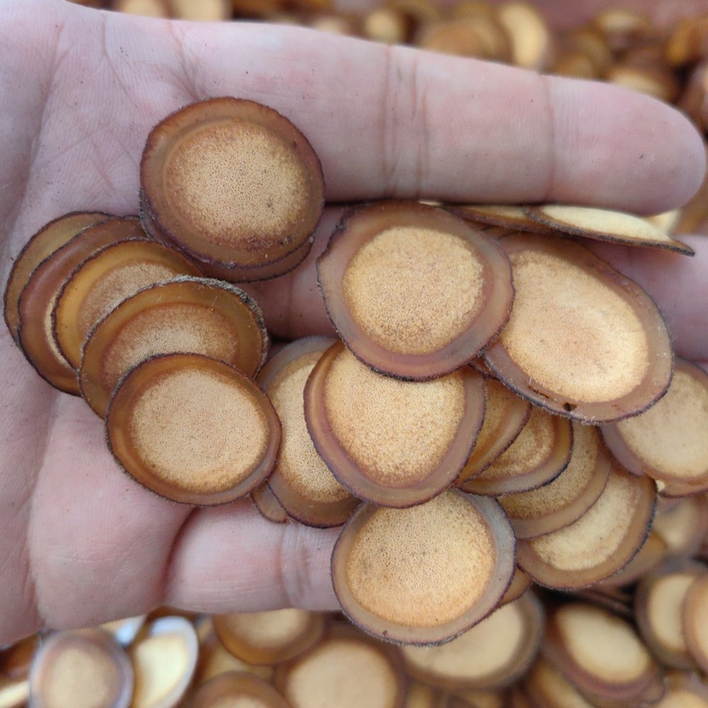 Deer Antler Slices Lu Rong Half Wax Slices Jilin Sika Deer Tonic Herb for Wine Infusion and Cooking 50g preparation