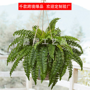 Cross-border Amazon Explosions Hanging Basket Artificial Simulation Persian Grass Plant Green Plant Wall Decoration Flowers Green Leaves Fern