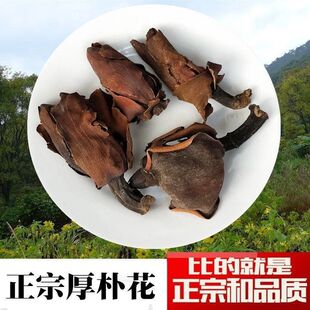 ���ӻ���ș����؛���ӻ��{���������ӻ�