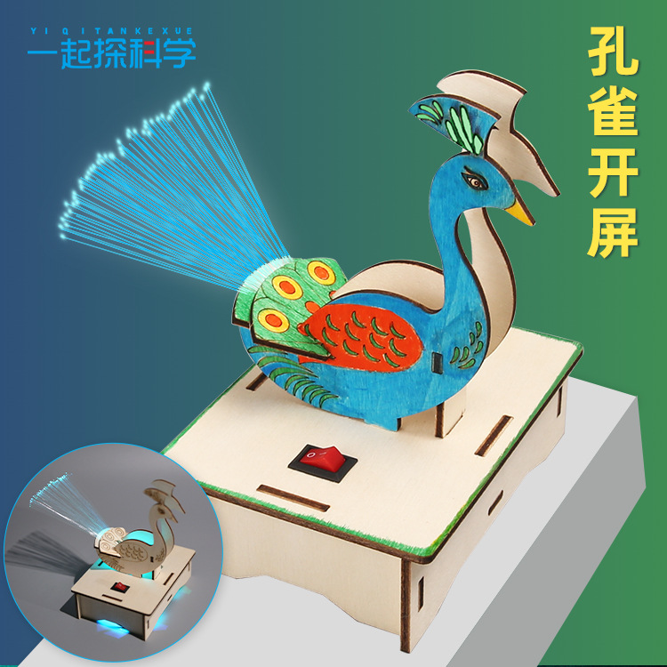科技小制作小发明手工diy材料孔雀开屏科学小实验中小学自制作品