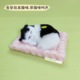 other product image
