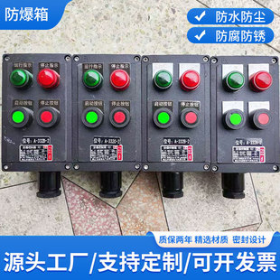 Explosion-Proof Distribution Box Stainless Steel Explosion-Proof Distribution Box Wiring Control Instrument Terminal Maintenance Power Socket Box