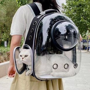 New All-In-One Pet Panoramic Space Capsule Cat Portable Transparent Pet Bag Cat Outing Box Backpack