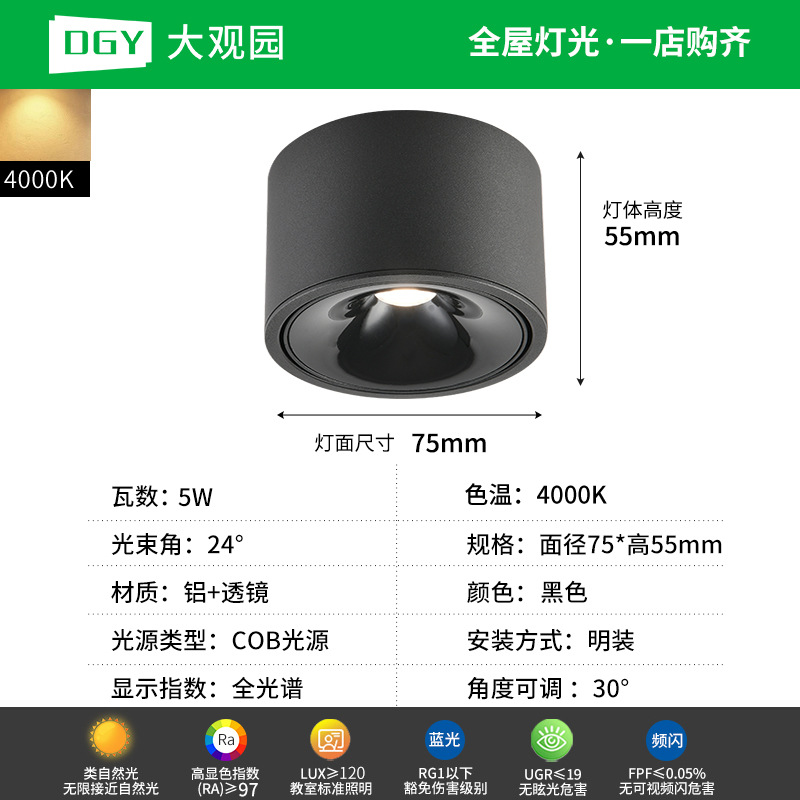 Da Guan Jardín luz de reflector anti-deslumbramiento colina sala de estar sin luz principal luz de techo downlight led corredor luz de techo 495L image 28