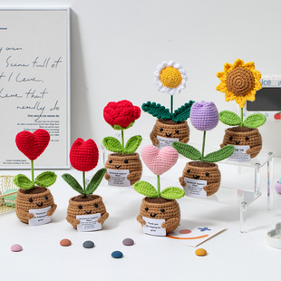 Cross-Border New Wool Homemade Crocheted Plant Pots Creative Knitted Plant Pots Mini Cute Positive Encouragement Plant Pots