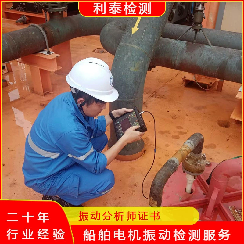 Услуги по обнаружению вибрации двигателя Litai Обнаружение вибрации Аналитик по вибрации Обнаружение на месте