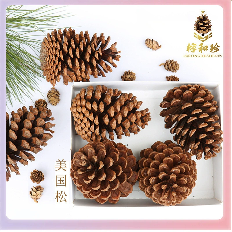 ➻Pine cones, natural pine cones, American pine, local pine, pine cones, Dalintou, pine flowers, pine cone crafts