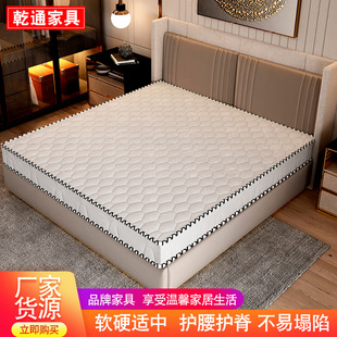 Mattress Double Household Five-Star Hotel Hotel Coconut Palm Mat Economical Homestay Tatami Palm Spring Mat