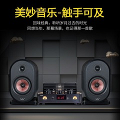 Faike ch600hifiパッシブ発熱胆機本棚デスクトップbluetoothスピーカー6.5インチリビングオーディオ工場
