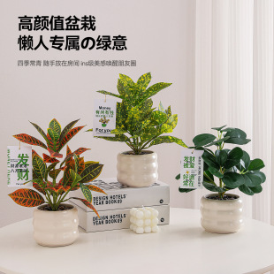 �������ԾGֲϲ�����b͏d�[��ֲ����~�󱱚W������羳�Ҿ���