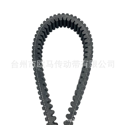 Transmission Drive Belt – Belt
