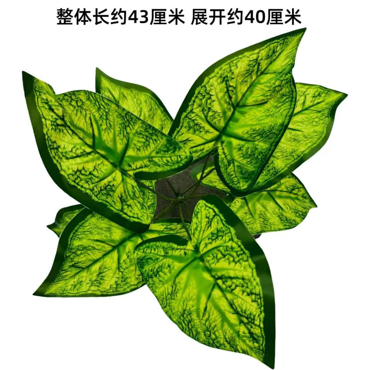 Nine-pronged large plant new style no. 18
