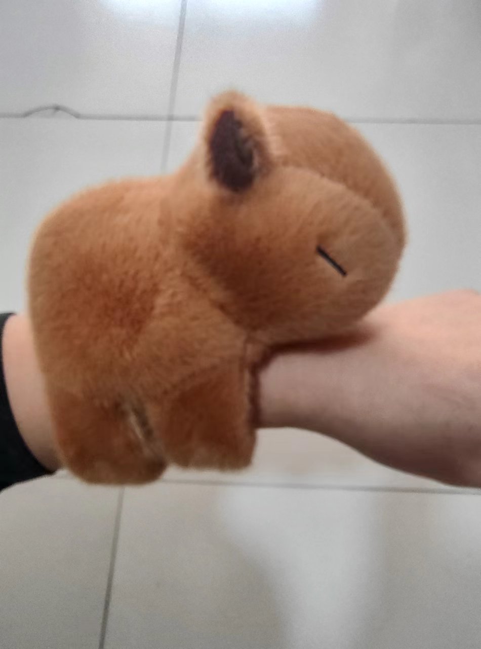 브라운 밍크 카피바라 반지