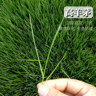 �M�ڸ���é�ݷN���ļ�����Ȕ������ͺ��ͺ������`̤�o�¹���