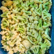 �S���ك��ɻ����ك��׻����ك��߲�ʳƷ�΃��ײ˻��G�o����1kg/��