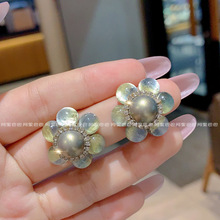 ���»�����h2025�¿��W�����С�����ĺ��s��ᔱ���W�t�������