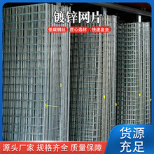 镀锌网片电焊网钢丝围栏网鸽鸡鸭兔养殖笼格子网建筑抹灰铁丝网