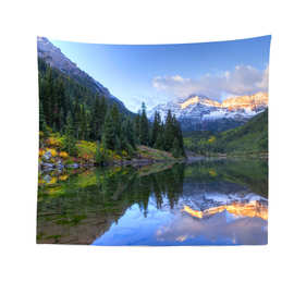 跨境背景布ins风挂布房间直播间出租房装饰墙布宿舍卧室床头挂毯