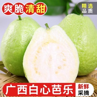 �V�����İŘ����ķ�ʯ��������ܛŴ�óԬFժ���ľGɫʳƷ