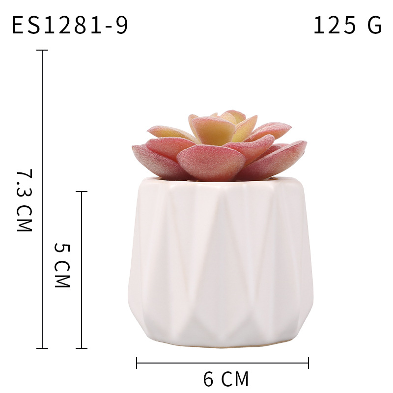 Pequeña ola al por mayor taza tipo simulación planta suculenta nórdico Muebles de Oficina Decoración fresca nuevo producto