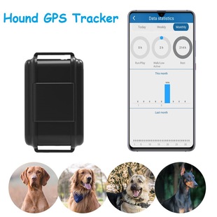 Cross-border TK919 4G Pet Hound GPS Locator GPS Tracker Real-time Positioning Acousto-optic Pet Seeker Factory