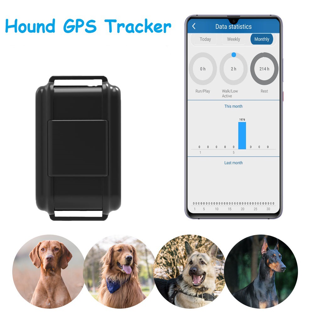 국경 간 TK919 4G 애완 동물 사냥개 GPS 찾기 GPS 추적기 실시간 위치 Acousto-optic Pet Seeker 공장