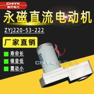 ZYJ220-53-222 permanent magnet DC geared motor ZYJ220-66-101 high voltage energy storage motor