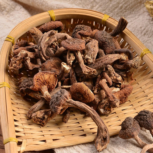 Northeast specialty Matsutake dried mushrooms, wild mushroom, selected wild sulfur-free mushrooms, wholesale dried mushrooms, one piece per order