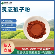 新诚生物直供 破壁灵芝孢子粉 灵芝多糖50% 保健品原料量大从优