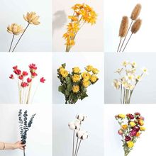 ?ɻõSWtҾb͏d[SlSֱN