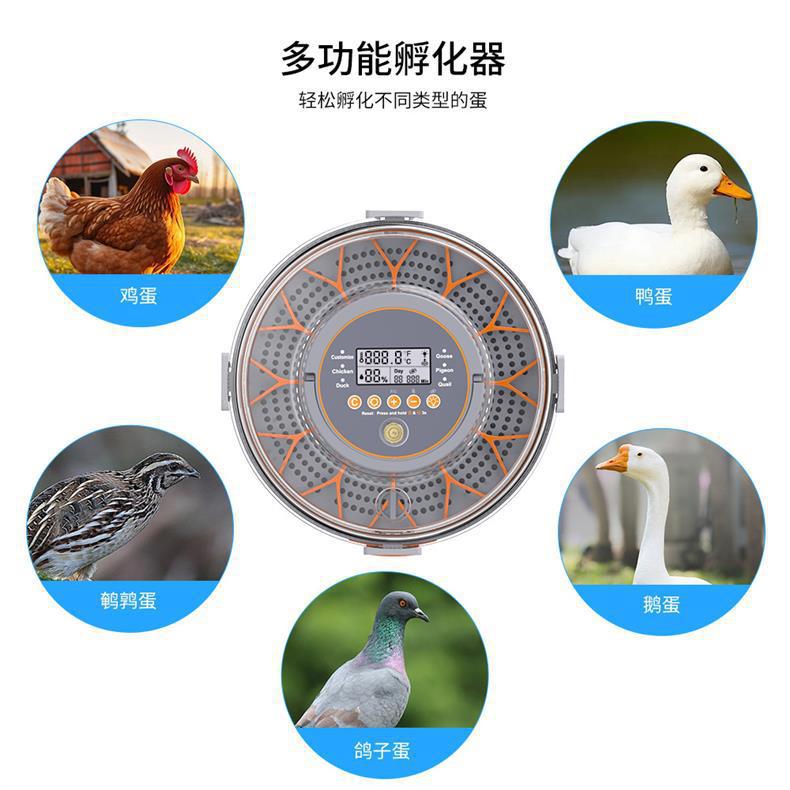 小鸡孵化器 全自动翻蛋倒计时功能