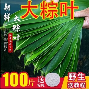 �ش����r���~100Ƭ��ȻҰ�����~�������~�ӷǸ����~���~���~���]