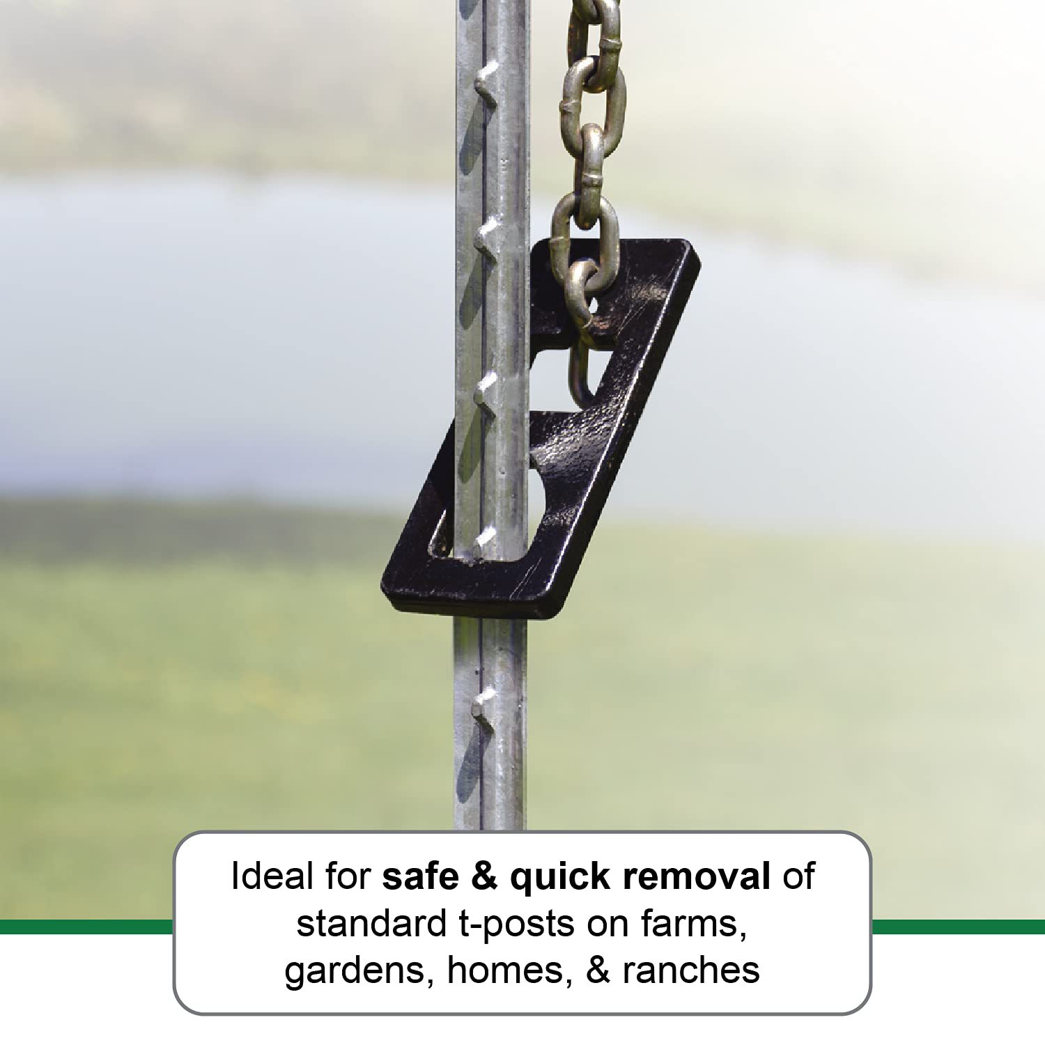 T 열 드로잉 플레이트