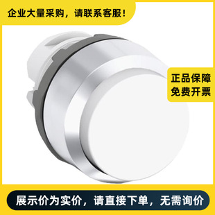 Abb Mp Series with Light Convex Head Metal Ring Button Head Mp3-31W | 10093074