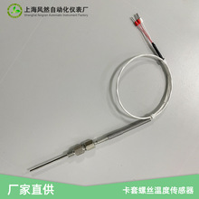 �߾��ȜضȂ�����RTD pt100A������迨���ݼyʽ�ض�̽�^�S��