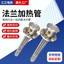 大功率電熱管法蘭加熱管水燒電熱管不銹鋼電加熱管220v定制開發
