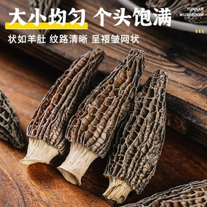 Юньнан Морел сухой товары грибы специальные массовые производители мореллов Прямые продажи объемные съедобные грибы Оптовое происхождение