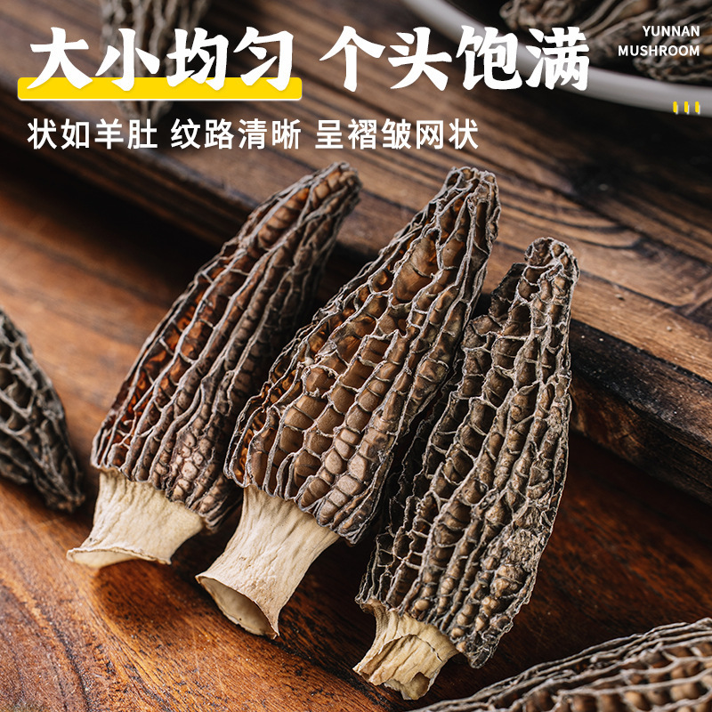 Yunnan morel dried mushroom specialty bulk morel factory direct bulk edible fungus origin wholesale